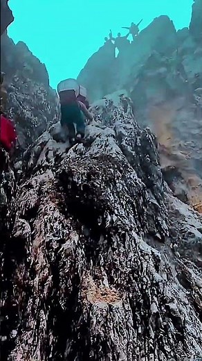 Mastering the Art of Chinese Bonsai Tree Training for Shape and Form: Pruning, Wiring, Grafting