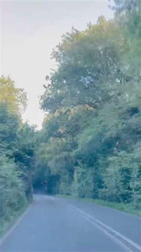 Countryside driving is so fun in England #roadtrip #driving #england #countryside #summer #indian