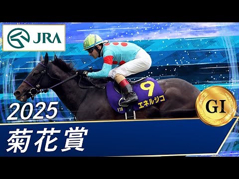 2025 Kikuka Sho (GⅠ) | Energeco | JRA Official