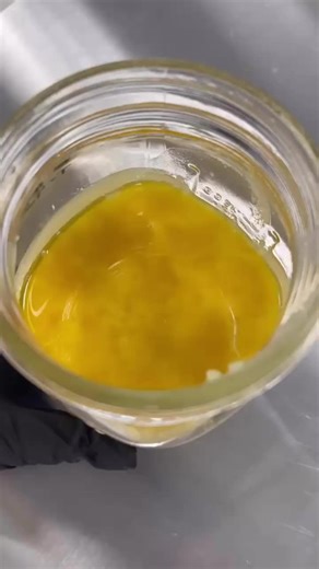 Triangle Kush X Lemon Tree aka Triangle Lemons. This live resin is on another level and we are beyond excited to share it with you guys. We pheno hunted this girl a year ago and she is about to show up in a big way. Hope everyone is having a good day!