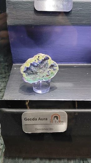 Geoda en la Mina El Edén, Zac.