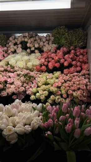 shemas algralleh on Instagram‎: "وحيد في المنزل (Home Alone) إنتاج 1990 ليس مجرد فيلم كوميدي عائلي، بل هو عمل سينمائي يجسد شجاعة طفل، وعمق مشاعره، ودقة إحساسه عندما يجد نفسه وحيدًا في عالم لم يُفترض أن يكون مليئًا بالدفء العائلي. خلف الزينة المبهجة لعيد الميلاد، والأضواء اللامعة، والموسيقى المرحة، تتسلل مشاعر الوحدة والاشتياق، وتمتزج بلحظات داخلية صامتة يعيشها الطفل “كيفن” بعيدًا عن ضجيج العائلة. في البداية، تبدو فكرة بقائه وحيدًا في المنزل كحلم طفولي مليء بالحرية والإثارة، يفعل ما يشاء دون قيود