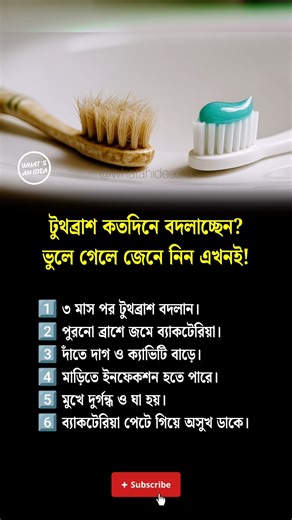 টুথব্রাশ কতদিনে বদলাবেন? | When to Change Toothbrush | Oral Hygiene Tips Bangla | #oralcare #facts
