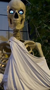 123 reactions · 9 comments | Happy Halloween from XRT! Deep dives into The XRT Music Library Crypt all day! Be scared. Be safe. | 93XRT | Facebook