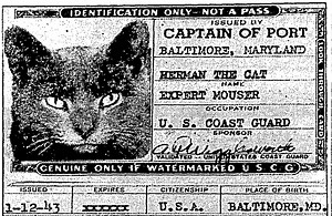 The Story of the Baltimore Cat That Joined the Coast Guard During World War II