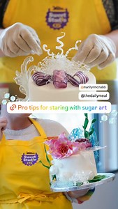 Wilton Cake Decorating on Reels