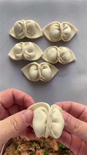 Dumplings Folding Styles | Momos Folding Tutorial