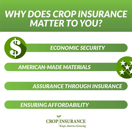 Why does crop insurance matter to you? It’s more than a safety net for farmers — it’s a critical risk management tool that ensures a stable food supply, supports rural economies and protects the livelihoods of America’s agricultural families. Discover how crop insurance impacts us all in our link below! | Crop Insurance Keeps America Growing | Facebook