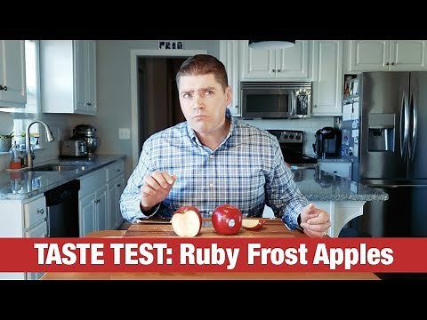TASTE TEST: Ruby Frost Apples