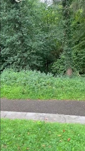 Forgotten Railway: Rosslyn Castle Station #Shorts