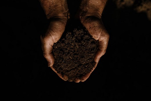 Landscaping Products & Organic Soils in Fort Worth, TX