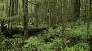 3.3K views · 363 reactions | Coming to your screens on October 16, 2021, In the Wake of Progress includes new and never-before-seen works by world-renowned Canadian photographer, Edward Burtynsky, as we face the greatest existential threat of our time: climate change. Register now for free tickets! | Luminato Festival | Facebook