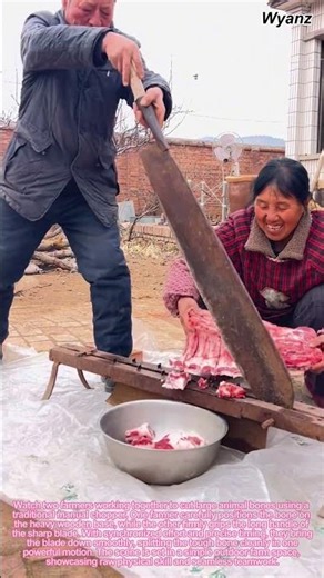 How to Cut Big Bones with a Manual Chopper | Traditional Farm Work