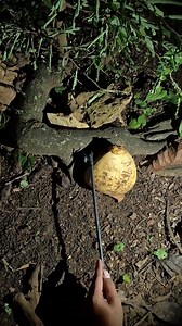 tap first to exit | Kang Zen