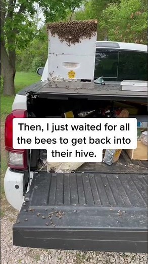 How To Deal With A Truck Covered In Bees | TikTok: @texasbeeworks