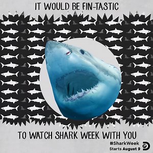 196K views · 5.7K reactions | BUDDY CHECK! Send to your forever #SharkWeek watch partner. | Shark Week | Facebook