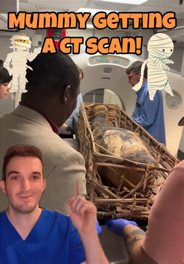 Scientists at Chicago’s Field Museum of Natural History have peered beneath the wrappings of ancient Egyptian mummified human remains to uncover new details about their identities and how they were prepared for the afterlife — all without removing a single piece of linen. In September, staff members rolled 26 of the mummies on display at the museum on specially built carts to the parking lot to be put through a mobile CT scanner. The nondestructive technology resulted in thousands of X-rays of t