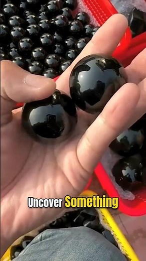 This Guy Wasted $100 for Nothing 😂