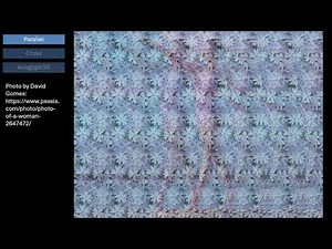 SIRDS: Single image random dot stereogram with parallel, cross and Anaglyph 3D