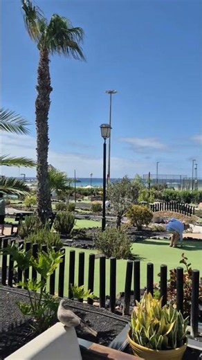 barcelo fuerteventura mar 😍