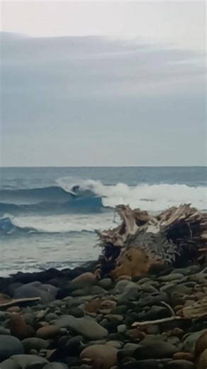 Firewire Great White Twin going right out West #nzsurf