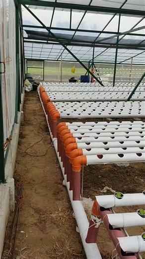 2 types of #diy nft drain set up for our #lettuce with only one purpose. 😄💚🙏 #ToGodBeTheGlory #ThankYouLord #hydroponicfarming #Hydroponics #farmlife | AmirAmiel Hydroponic Farm and More