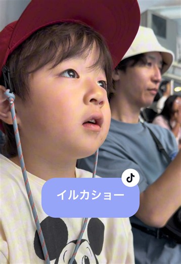 イルカショーでのむくの反応が良くなった思い出