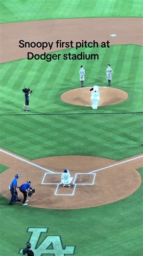 Snoopy first pitch #dodgers #dodgerstadium #baseball #losangeles #ladodgers #dodgernation #snoopy #peanuts
