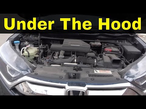 9 Things To Check Under The Hood Of A Car