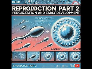 A&P 2 Lecture: Reproduction System Part 2