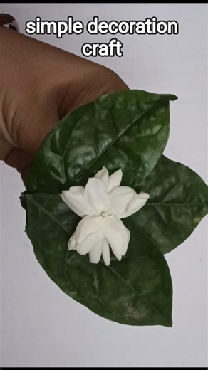 Beautiful Jasmine Flower Craft with Leaves 🌼 | Simple Decoration Idea #diy