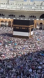 18K views · 968 reactions | Around 820,000 international pilgrims have entered the Kingdom via air, land, and sea for #Hajj2025, official data confirms. May Allah accept their Hajj and make their rituals easy for them. 爐 | The Saudi Expat | Facebook