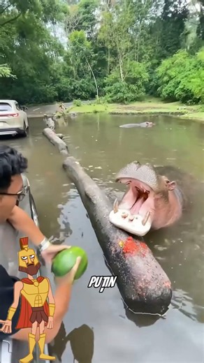 The coolest animals