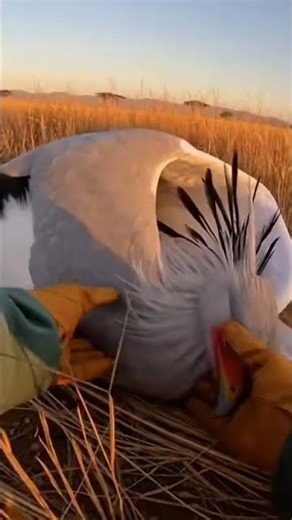 “Life Was in Danger… But One Man Became a Hero and Saved It!”