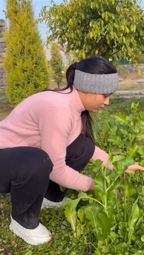 Laksh Armaan Ayan #trending #shorts #armaanmalik #payalmalik #kritikamalik #viral #edit #malikvlogs