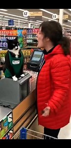 84K views · 1.9K reactions | Angry Cat SLAPS Screaming Customer in US Grocery Store #ViralVideo #CrazySupermarket #AngryCustomer #CashierCat #FunnyAnimals #CatVsHuman #SupermarketFight #PublicFreakout #USAviral #UnexpectedMoment #AnimalReactions #FunnyCatVideo #CaughtOnCamera #FacebookReels #ViralUSA | Kitty Cuddle Club | Facebook