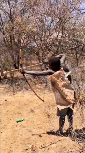 He Stepped Back Instinctively… Chaos Erupts in the Bush | Bush Awareness! | जंगल में अचानक अफरा-तफरी