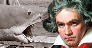 Was iconic Jaws theme inspired by this Beethoven classic? — The Daily Jaws