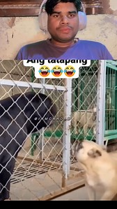 #pradeepkumar | Pradeep Kumar