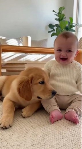 Baby Pets Puppy in the Cutest Real Life Moment Ever 😭🐶📸