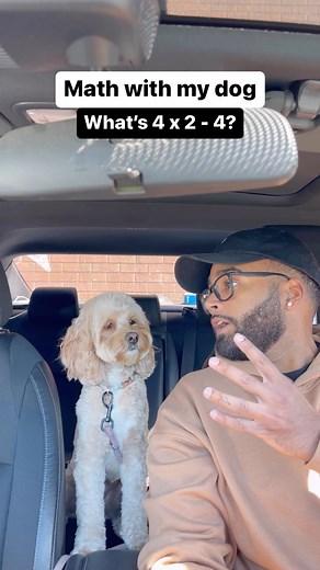 Luna The Mini Cockapoo on Instagram: "The way she thinks about it… 👀😳 #dogs #cockapoo #puppylove"