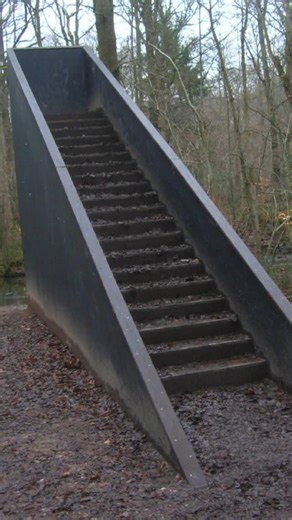 Jessii Vee on Instagram: "Stairs in the woods 🌲"