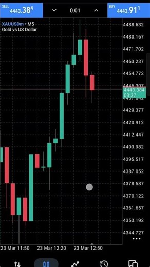 forex trading account manager available 923200120415