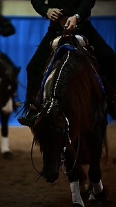 9.5K views · 372 reactions |   This is our first time back in the...