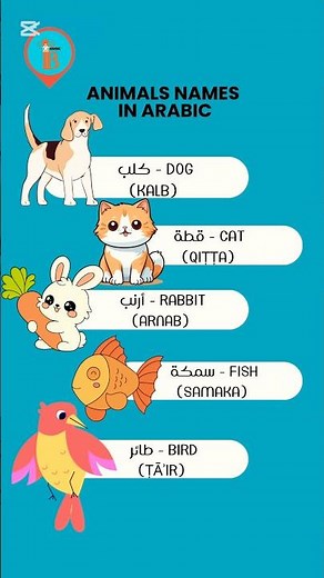 Learn Animals names in Arabic(dog,cat,rabbit,fish,bird,elephant,horse,cow,sheep,camel)#learnarabic