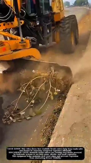 Roadside Brush Clearing with a Tractor-Mounted Cutter! #shorts