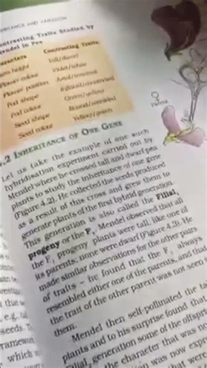 bio chpt 4 #study #minivlog