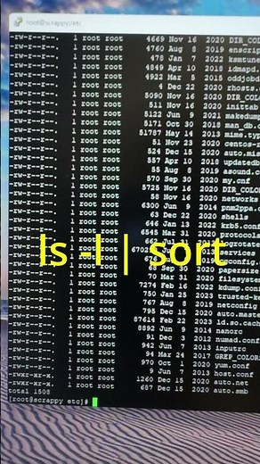 Sort files instantly with this #linux #shorts