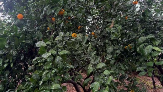 뉴나랑/newna_ya on Instagram: "ASMR 🍃 Volume Up"