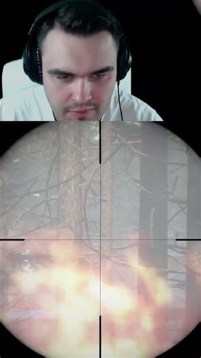 Headshot? #twitch #dayzmod #gaming #dayzgamers #dayz #memes #deutsch